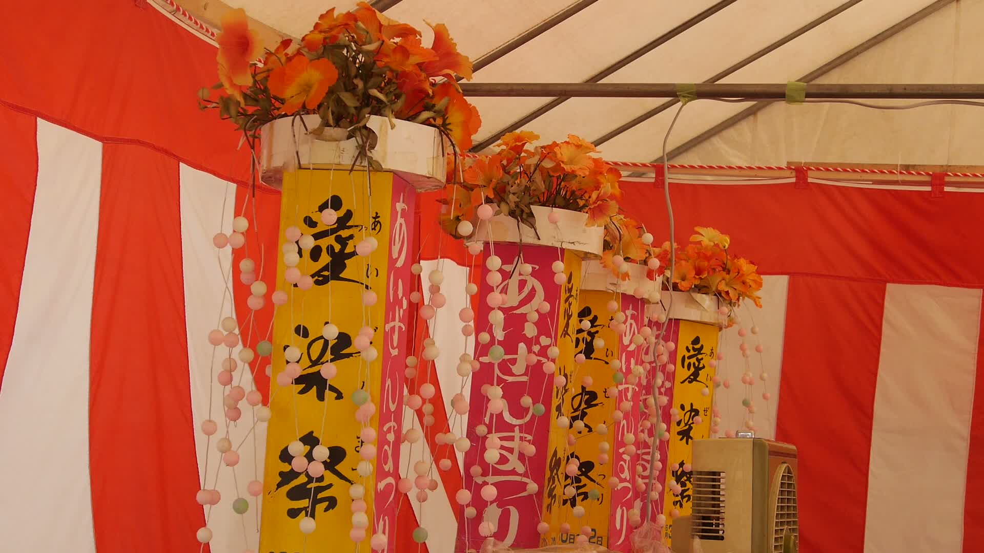 【特集】愛染花かご展示をライブでご案内